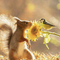 Аватарка Julia