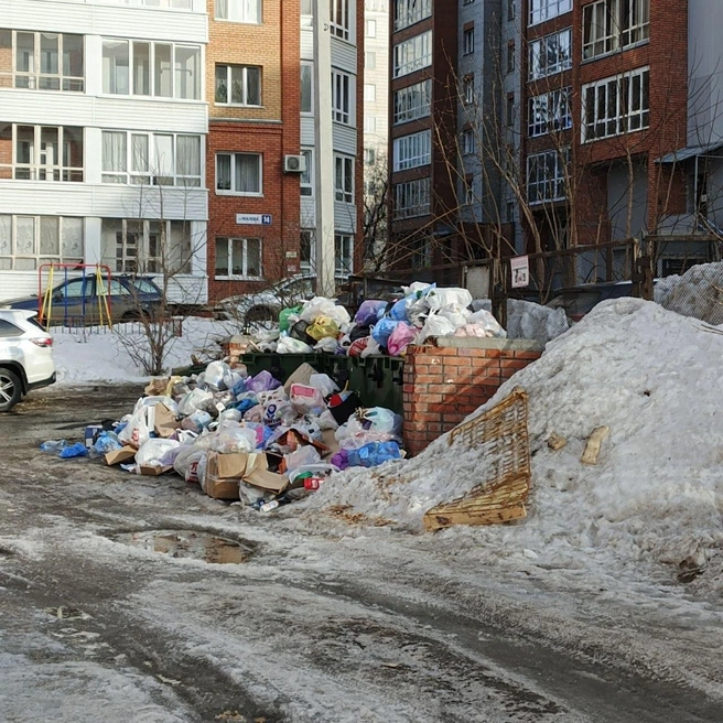 Местные жители складывают мусор рядом с баками, потому что в них уже закончилось место  | Источник: томич 