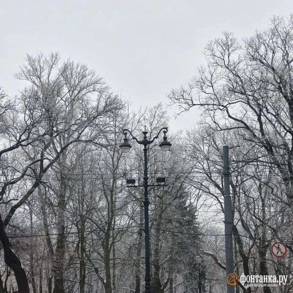 Источник: Алина Циопа / «Фонтанка.ру»