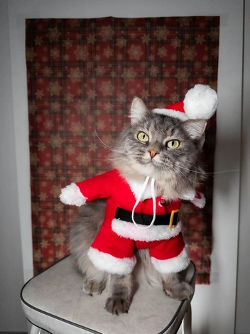 Нас здесь двое: я и мое достоинство, которое я теряю | Источник: читатель НГС