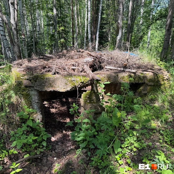 Старые укрытия вдоль дороги | Источник: Ксения Мельникова / E1.RU