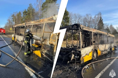 На трассе в Ярославской области сгорел автобус