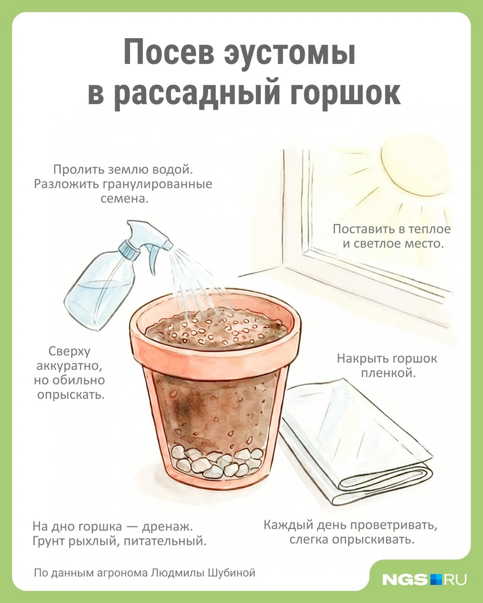 Источник: Юрий Орлов / Городские медиа
