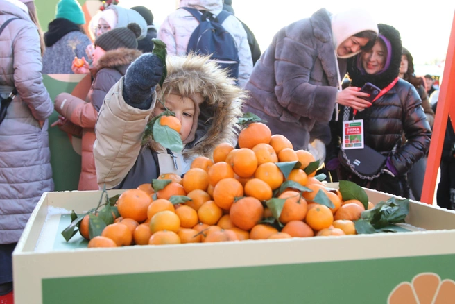 В Ставрополе пройдет первая весенняя продуктовая ярмарка | Источник: Татьяна Спиридонова / MSK1.RU