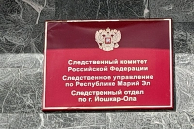Жительница Йошкар-Олы осуждена за убийство сожителя