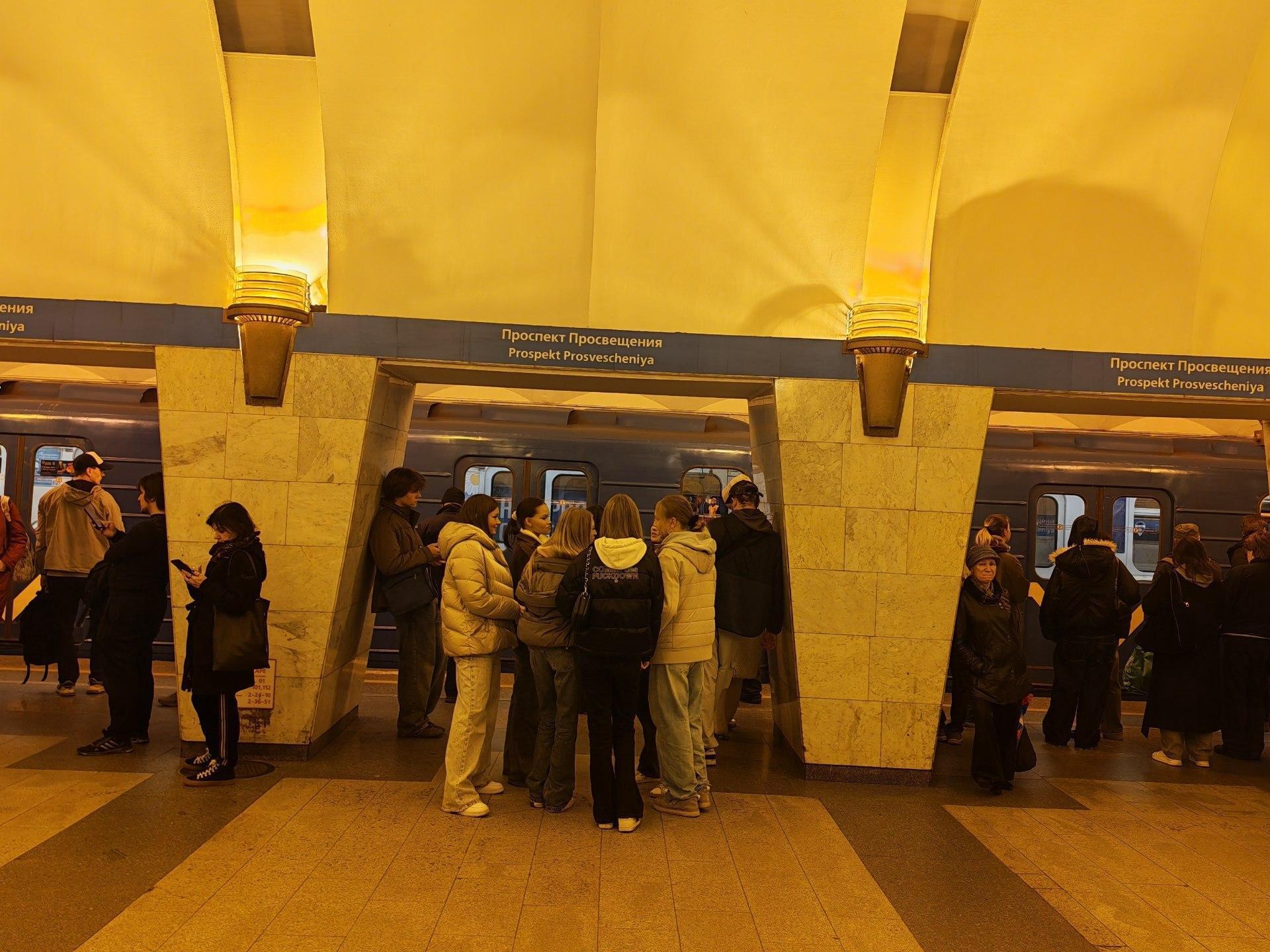 Названа причина сбоя на синей линии метро Петербурга