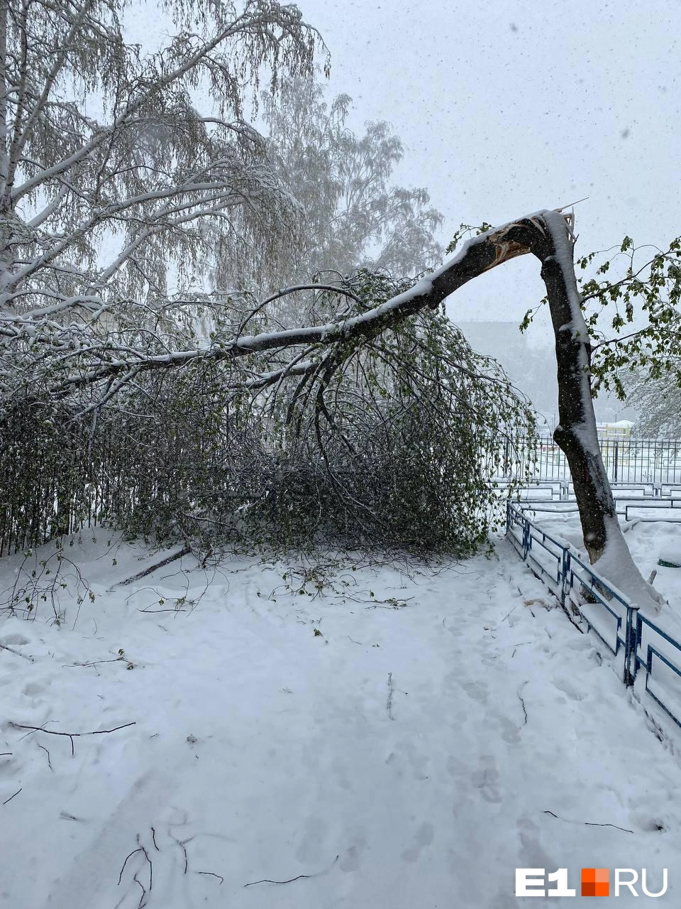 30 фото Екатеринбурга после снегопада - 4 мая 2024 - Е1.ру