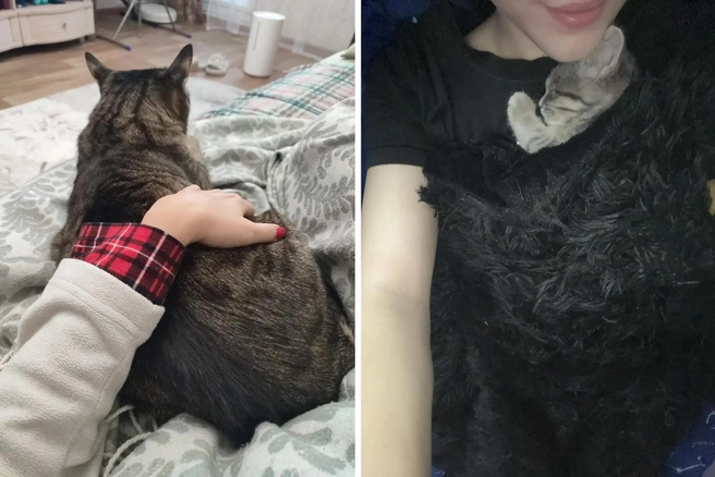Коты приходят греться к своим хозяевам | Источник: Диляра, Мария
