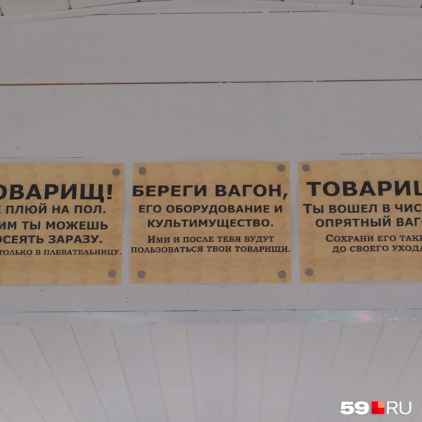 Источник: Тимофей Калмаков / 59.RU 