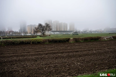 Планы на новый ипподром в Ростове у памятника «Тачанка»