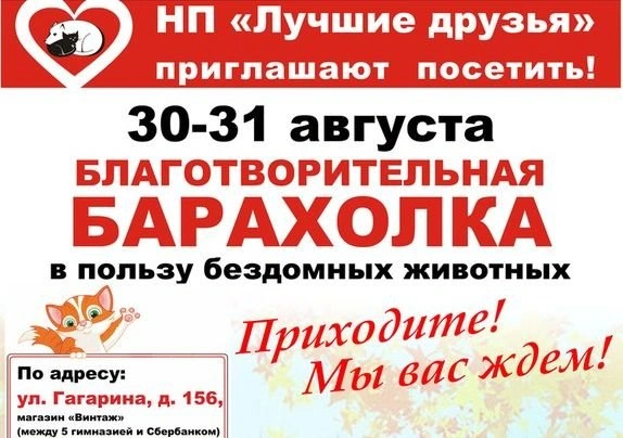 Рязанцев приглашают на «благотворительную барахолку» | ya62.ru