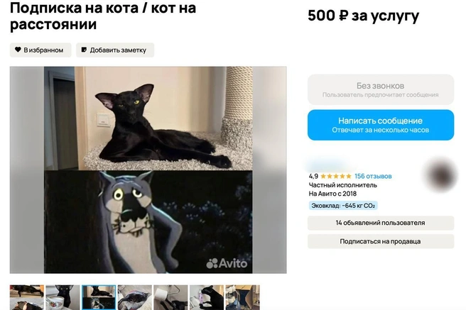 Источник: скриншот с сайта объявлений