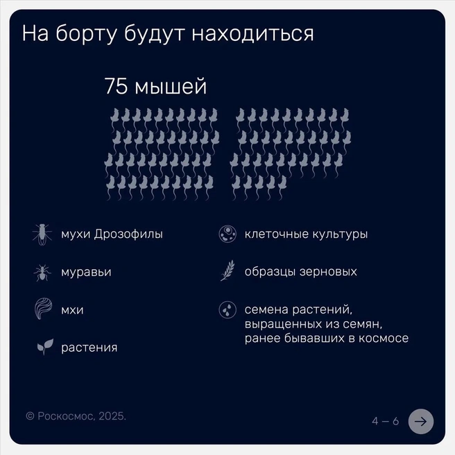 Источник: Роскосмос / Vk.com