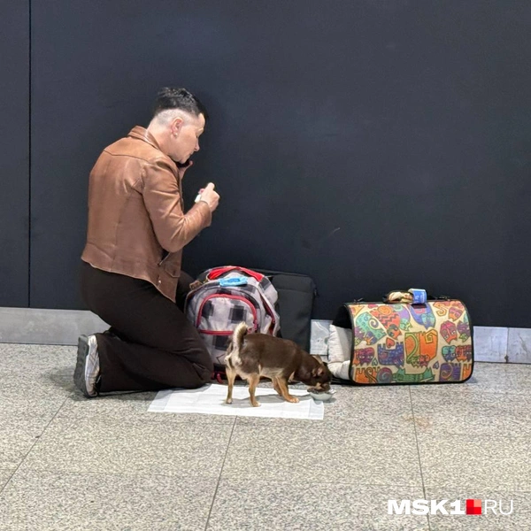 Источник: Читатель MSK1.RU