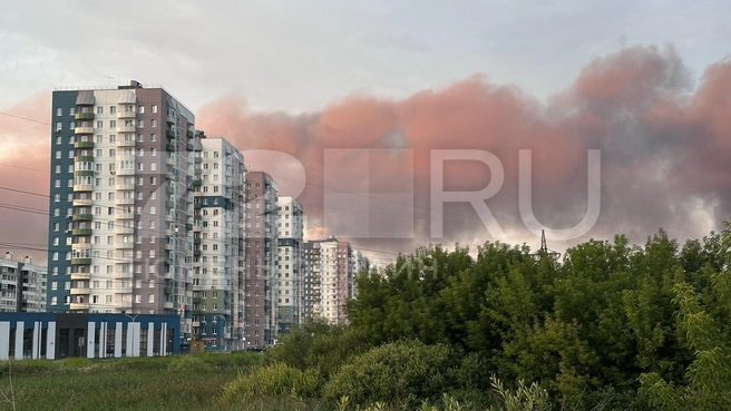 Еще одно фото с Лесобазы  | Источник: читатель 72.RU 