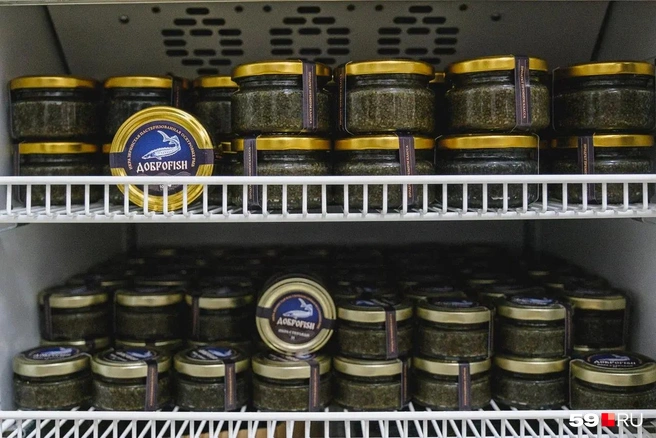 Черная икра красиво упакована в аккуратные баночки | Источник: Тимофей Калмаков / 59.RU