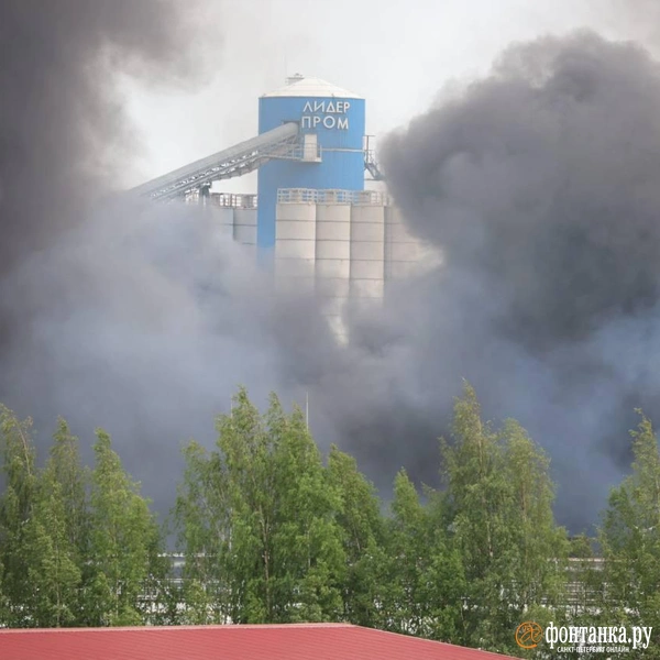 Источник: Валентин Егоршин / «Фонтанка.ру»