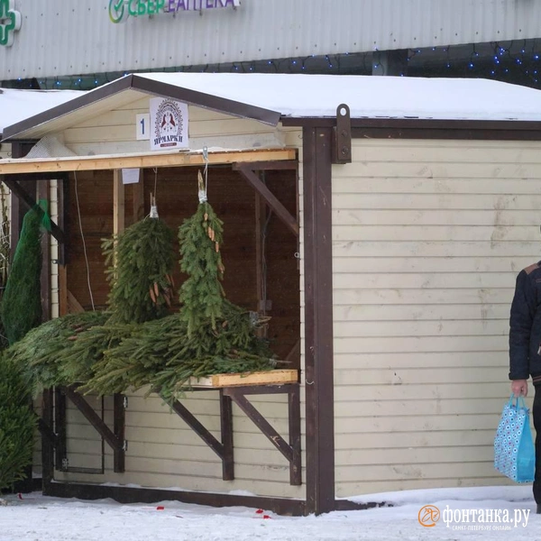 Источник: Павел Даиси / FONTANKA.RU