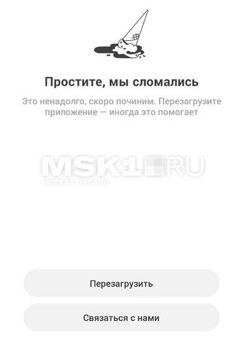 Такое сообщение пишет сервис  | Источник: приложение Самокат