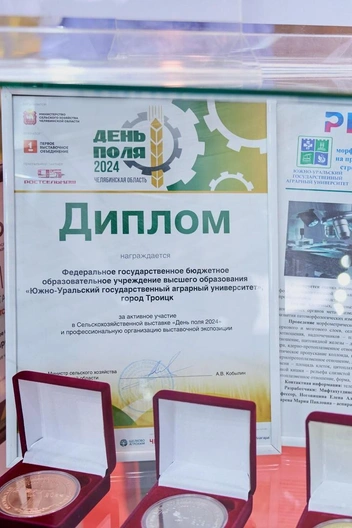 Источник: Александр Владимирович Бурдин