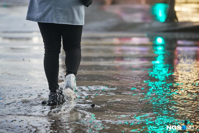 В начале ноября будут дожди без снега | Источник: Александр Ощепков / NGS.RU