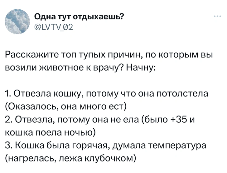 В «Твиттере» делятся тупыми причинами, по которым возили животных в ветеринарные клиники. И это уморительно!