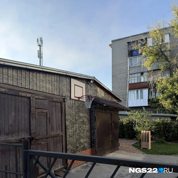 Источник: Полина Шевчукова / NGS22.RU