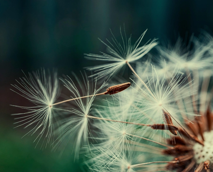 Источник: Олександр К via Unsplash