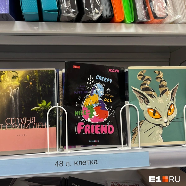 Источник: Владислав Зайцев / E1.RU