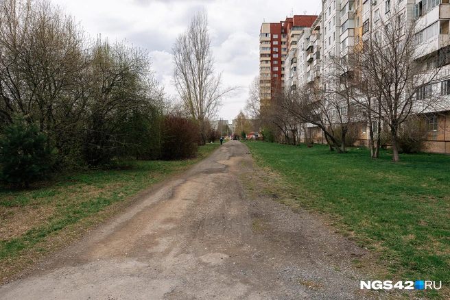 Дорожники дошли далеко не до всех участков | Источник: Максим Серков / NGS42.RU