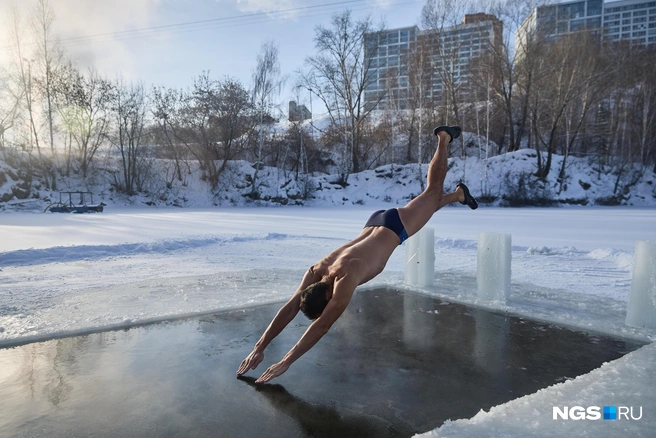 Моржи мороза не боятся и ловко ныряют в водоем | Источник: Александр Ощепков / NGS.RU