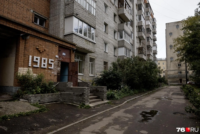 У подъезда выложен год основания дома, а во дворе&nbsp;— лужи и высокие кусты | Источник: Александр Куренной / 76.RU