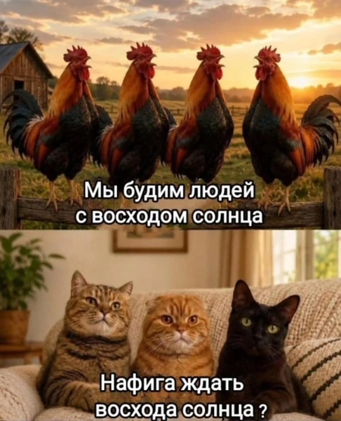 Самые смешные животные — июль 2026 года | Источник: соцсети