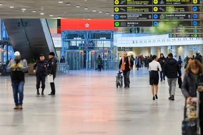 Domodedovo Airport Sale: Who Will Buy and What Passengers Can Expect