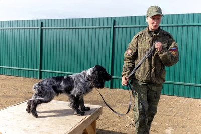 Челябинская область передала собак для работы в зоне СВО