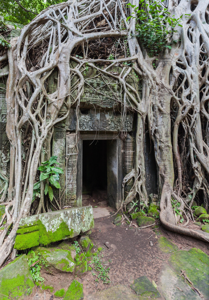20 самых впечатляющих храмов мира, органично вписанных в природу