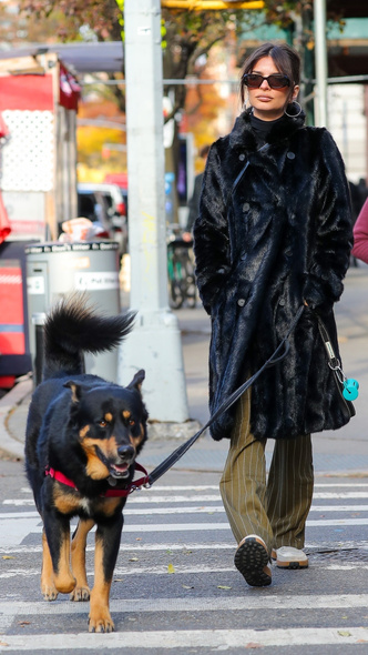 Никак спортивных костюмов: Эмили Ратаковски гуляет с псом в стильном образе