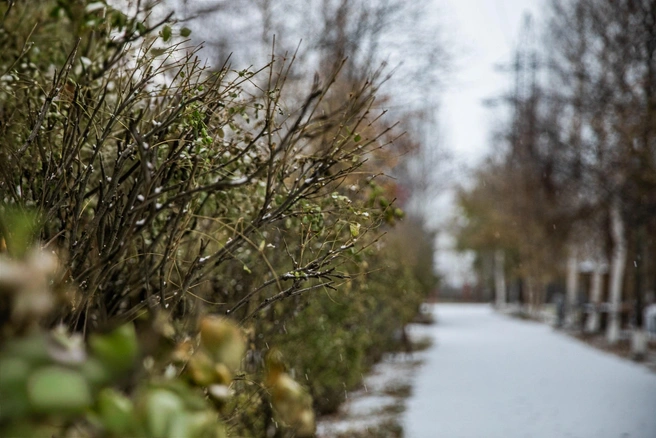 Источник: Елена Вишневская / Vk.com