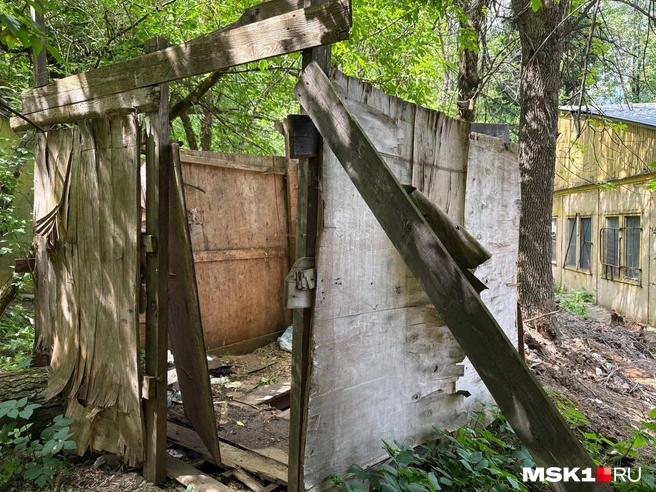Источник: Валерия Животовская / MSK1.RU