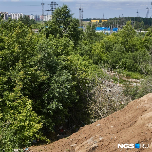 Оказалось, что за ограждением в овраге — гора мусора. Территория к участку застройщика не относится, объяснили в пресс-службе застройщика | Источник: Александр Ощепков / NGS.RU