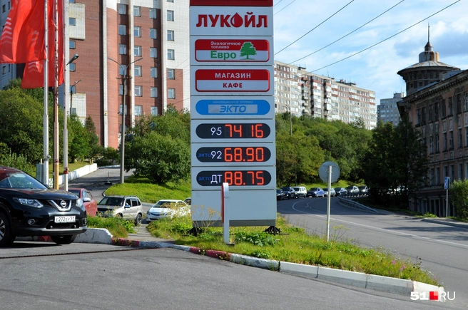 Цены на Папанина | Источник: Дмитрий Артеменко / 51.RU