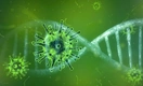 Ученые заявили о доказательствах искусственного происхождения SARS-CoV-2