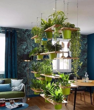Биофильный декор: как растения влияют на продуктивность и психическое здоровье