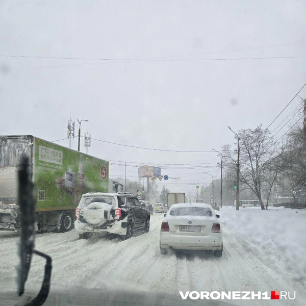 Источник: Ирина Булгакова /Voronezh1.ru