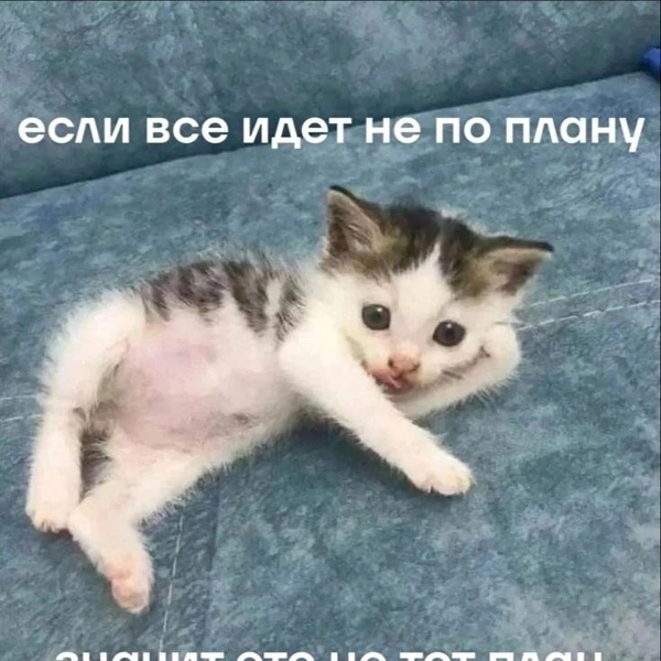 Источник: Соцсети