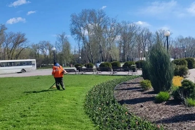 Сезон ухода за зелеными насаждениями стартовал в Липецке