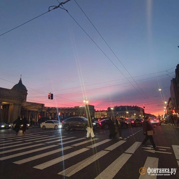 Источник: Алина Циопа / «Фонтанка.ру»