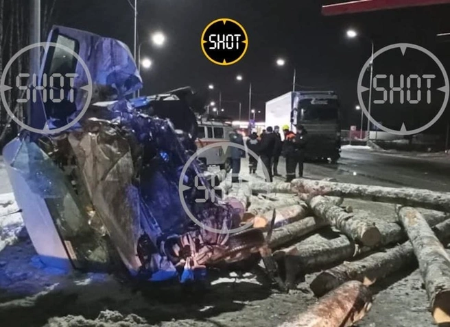 В Ярославской области слетевшие с лесовоза бревна засыпали автобус с детьми | ya62.ru