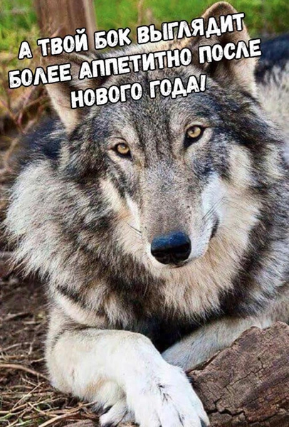 новогодние мемы 2021 год