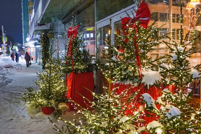 Погода в Прикамье до конца декабря: прогноз на Новый год